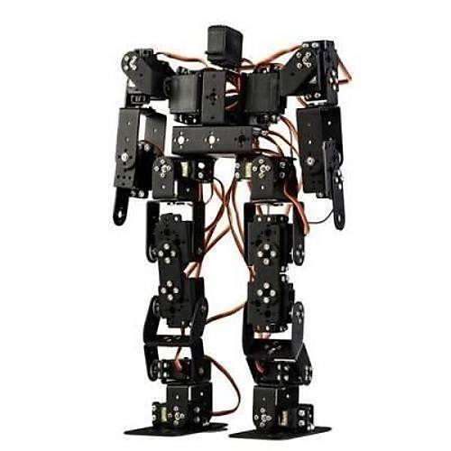 17 Eksenli nsans Robot - Humanoid Robot