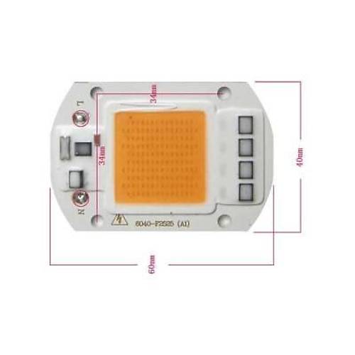 Amber Kehribar 220V Projektr Cob Led 50W Driver ipli