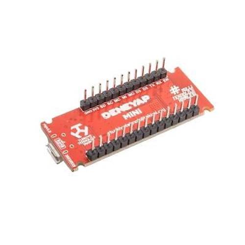 Deneyap Mini Elektronik Gelitirme Kart