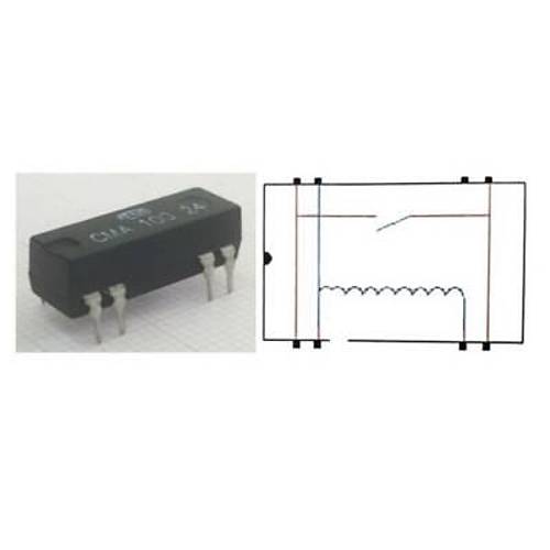 CMA 100 24 Reed Rle Tek Kontak N/O 24VDC 0.5A