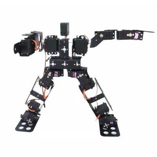 15 Eksenli nsans Robot - Humanoid Robot