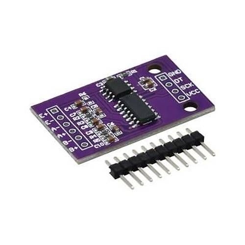 CS1238 24-Bit 2 Kanal ADC Modl TL431 ipli