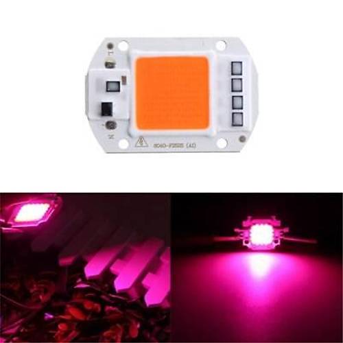 Ful Spektrum 220V Cob Led 50W Bitki Yetitirme I