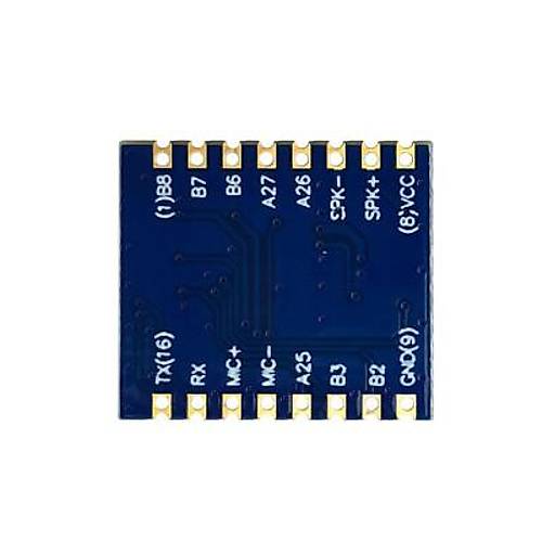 HLK-V20 Ses Tanma Modl