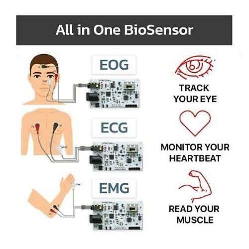 EMG EOG EKG Sensr Kart (Kas, Gz ve Kalp Sinyalleri Alglama)