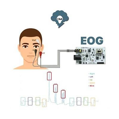 EMG EOG EKG Sensr Kart (Kas, Gz ve Kalp Sinyalleri Alglama)