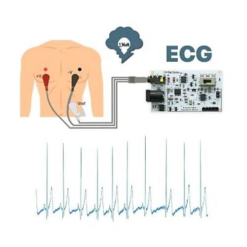 EMG EOG EKG Sensr Kart (Kas, Gz ve Kalp Sinyalleri Alglama)