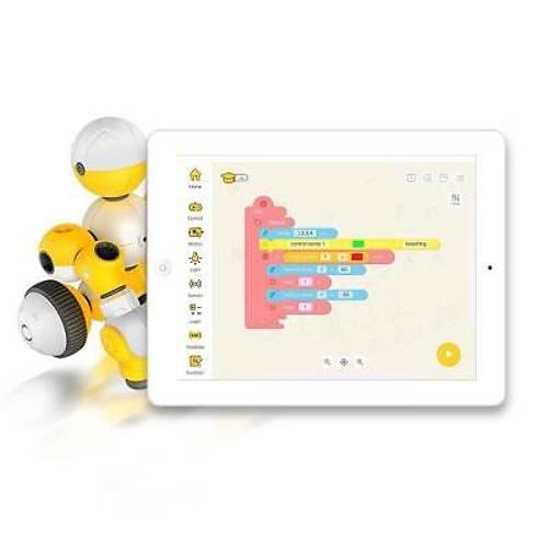 Mabot A Starter Kit - STEAM Balang Eitim Robotu