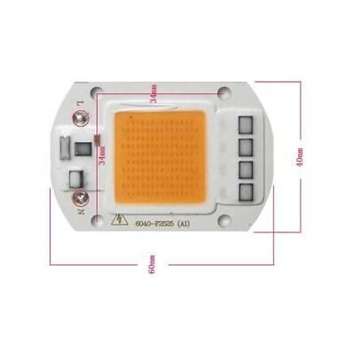 Yeil 220V Projektr Cob Led 50W Driver ipli