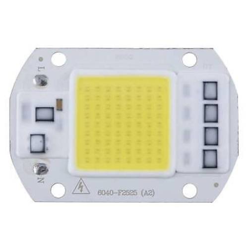 Beyaz 220V Projektr Cob Led 50W Driver ipli