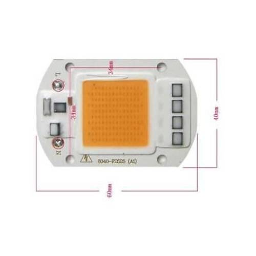 Krmz 220V Projektr Cob Led 50W Driver ipli