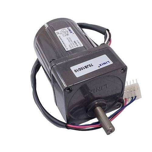 YN70-15 220V 125 RPM AC Motor