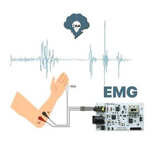 EMG EOG EKG Sensr Kart (Kas, Gz ve Kalp Sinyalleri Alglama)