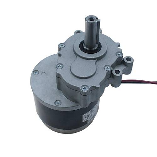 102ZY24-250-A-01 24V 82Rpm Yksek Torklu Bisiklet Motoru