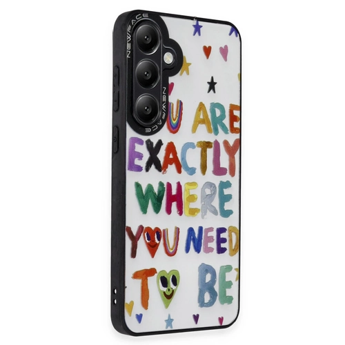 Newface Samsung Galaxy S23 FE Klf Mirror Desenli Kapak - Mirror - 10