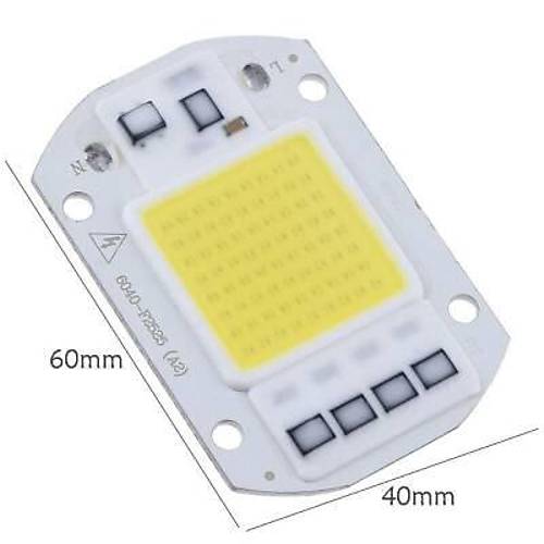 Beyaz 220V Projektr Cob Led 50W Driver ipli