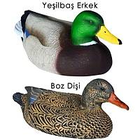 Dr Duck Ye�il Ba� Erkek Di�i Tak�m (2 li)