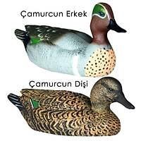 Dr Duck �amurcun Erkek Di�i Tak�m (2 li)