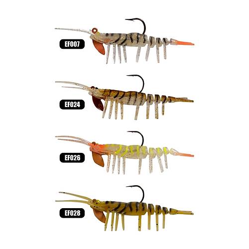 Effe Sasi Caridina HG07