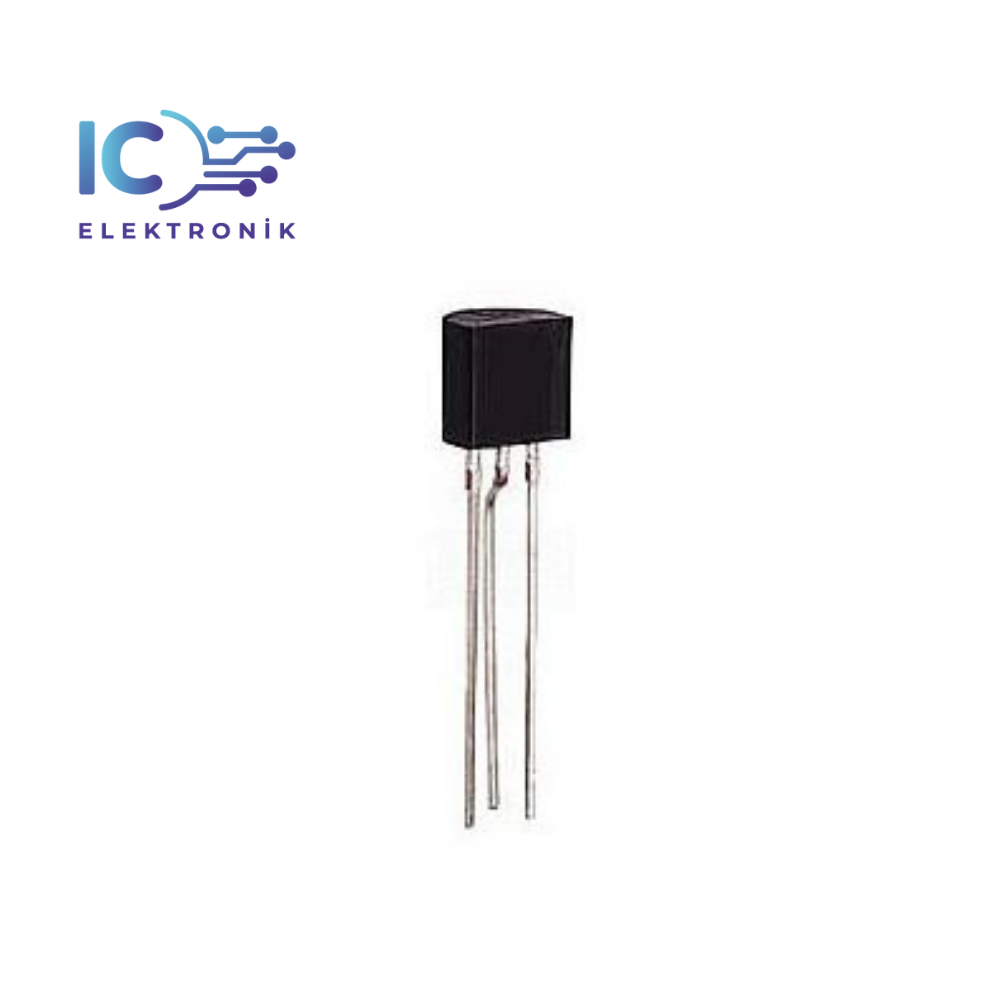 UM66 T19