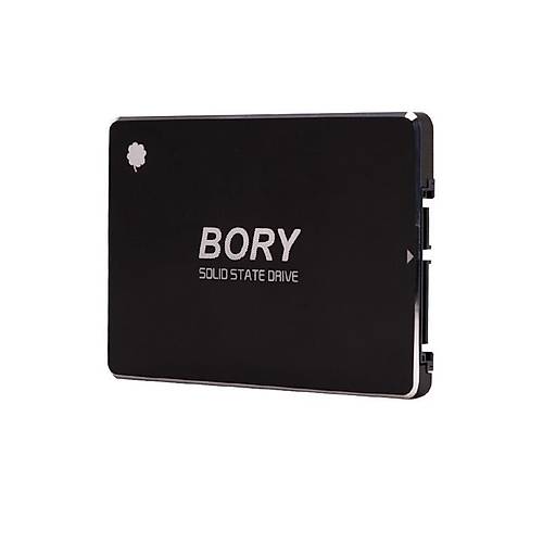 256 GB BORY SATA3 R500-C256G SSD 550/510 MBS (3 YIL GARANTL)