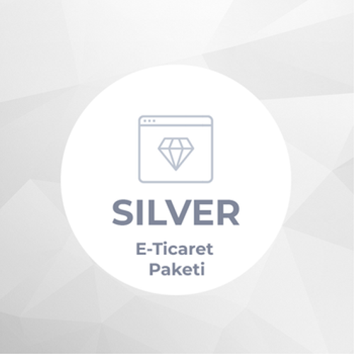 PlatinMarket Silver E-Ticaret Paketi