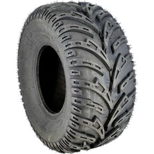 22X10-10 4PR BL770 TL 39J Cappadocia