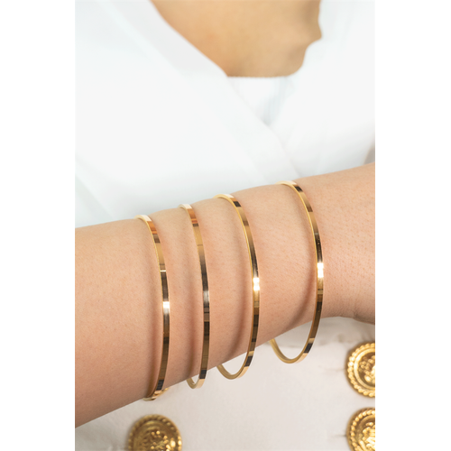 22 Ayar İşçiliksiz Yatırımlık Bilezik 10 gr