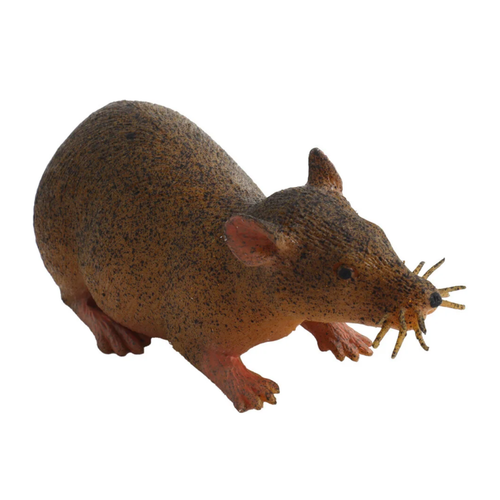 Strech Kahverengi Fare