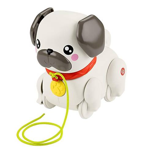 HTW94 Fisher-Price  Minik Dostumla Yry