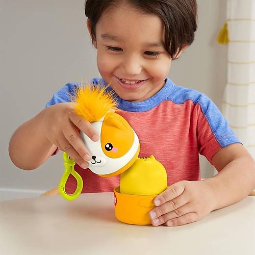 HXP17 Fisher-Price Tanabilir Sevimli Dostlar