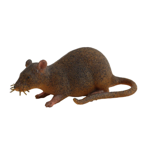 Strech Kahverengi Fare