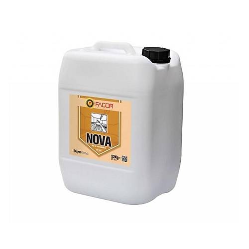 Kir ve Ya� ��z�c�