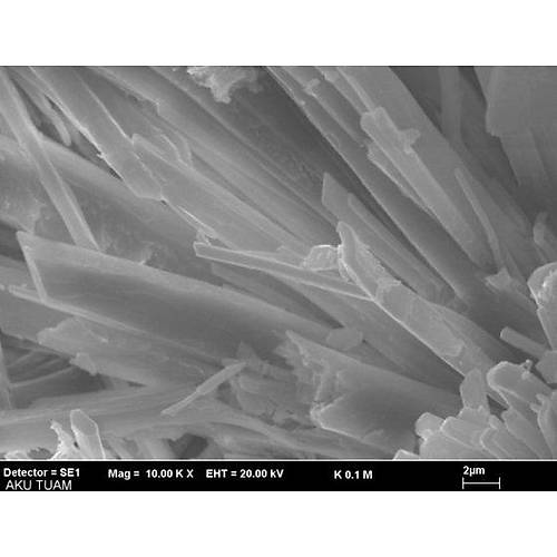BDM Powder