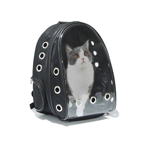 effaf Hava Kanall Krlmaz Cam Kedi Kpek Tama Seyahat antas