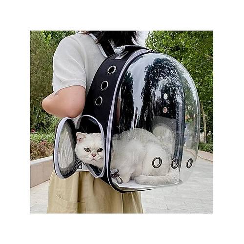 Astronot Model Kedi Tama antas Siyah El Ve Srt antas 9 Hava Kanal Kedi Tama antas File