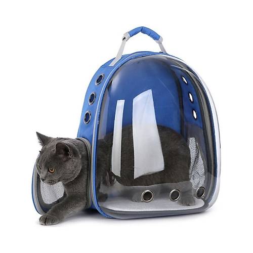 Astronot Model Kedi Tama antas Mavi El Ve Srt antas 9 Hava Kanal Kedi Tama antas File