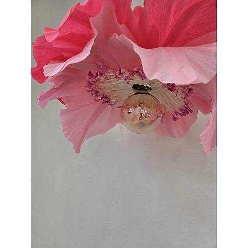 Carmen Serisi- Kark Pembe Avize