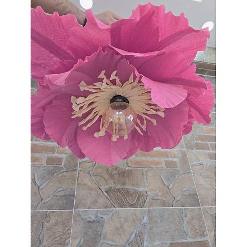 Carmen Serisi-Atik Pembe