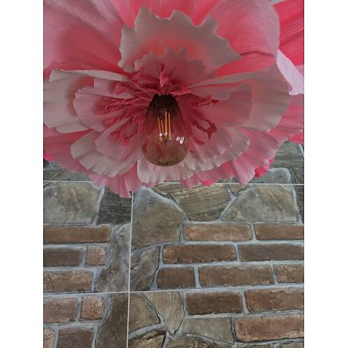 Lirvana Serisi - Kark Pembe Avize