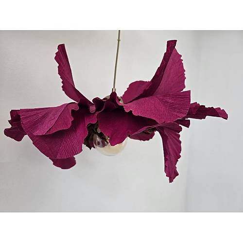 Carmen Serisi- Bordo Krmzs