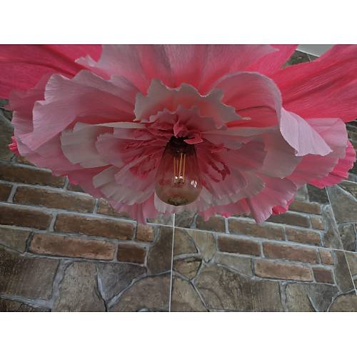 Lirvana Serisi - Kark Pembe Avize