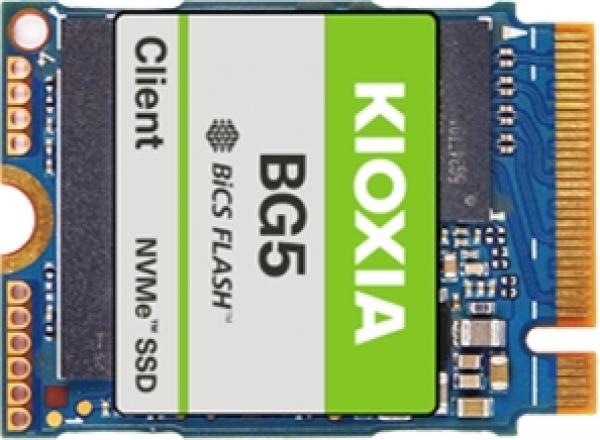 Kioxia KGB50ZNT256G 256 GB BG5 3400-1900Mb/s PCIE NVME M2 Gen4 22x42 SSD Harddisk