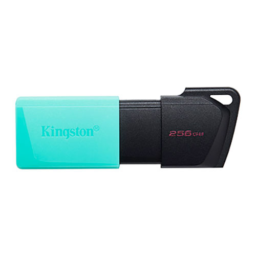 Kingston DTXM/256GB 256 GB DateTraveler ExodiaM USB 3.2 GEn1 USB Flash Bellek