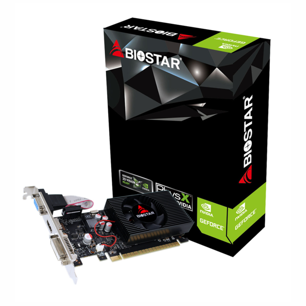 Biostar VN7313TH41 4 GB DDR3 GrForce GT730 128Bit NVIDIA Ekran Kartı