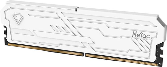 Netac NTSHD5P60SP/16KC 16 GB DDR5 6000Mhz CL38 Bilgisayar Bellek
