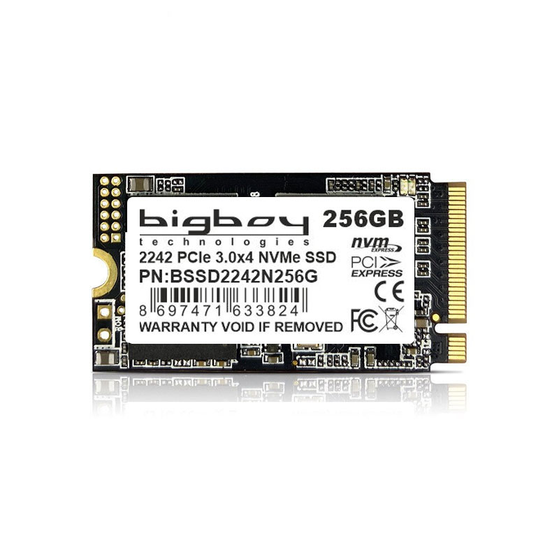 Bigboy BSSD2242N256G 256 GB 2500-1300Mb/s 22x42 PCIe M.2 NVMe SSD Harddisk