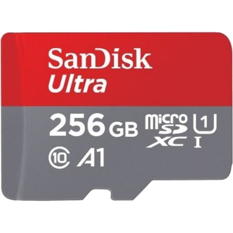 Sansidk SDSQUNR-256G-GN3MN 256 GB 100 Mb/s Android microSD Hafıza Kartı