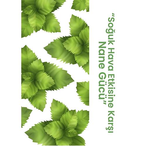 Sezy Nane Aromal Nemlendirici Lip Balm 5 gr  Doal & Ferah Dudak Bakm