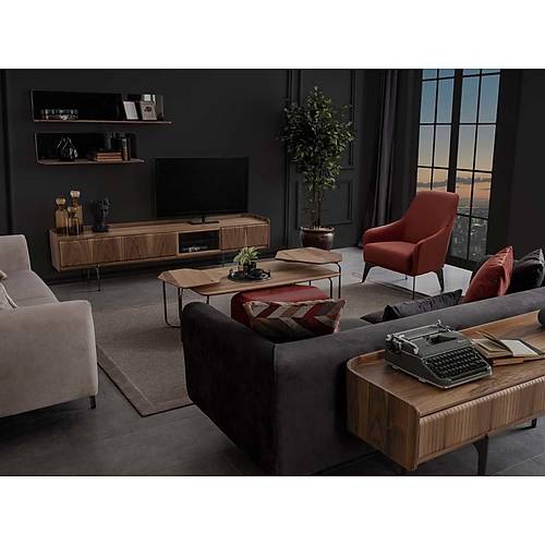 Tokyo Ceviz Tv �nitesi